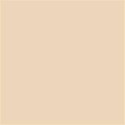 13-1010 TCX Gray Sand