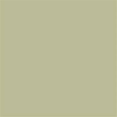 14-0418 TCX Bog