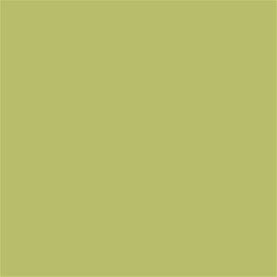 14-0434 TCX Green Banana