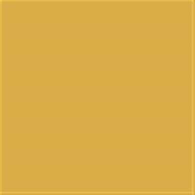 14-0952 TCX Spicy Mustard
