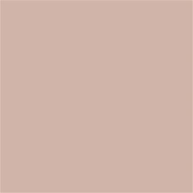 14-1307 TCX Rose Dust