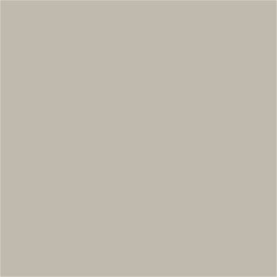 14-4501 TCX Silver Lining