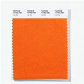 15-1363 TSX Live Wire - Polyester Swatch Card