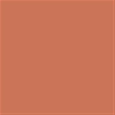 15-1429 TCX Dusted Clay