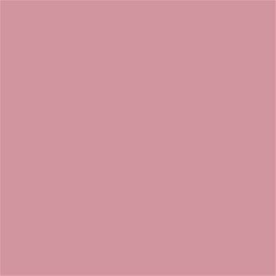 15-1614 TCX Blush