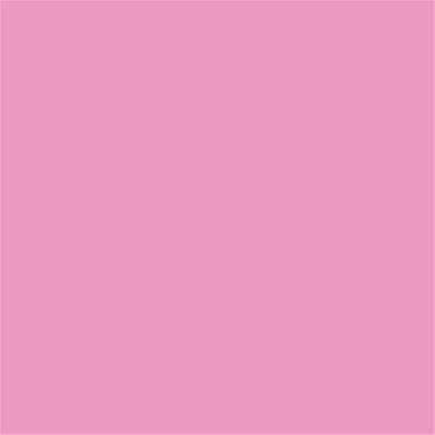 15-2215 TCX Begonia Pink