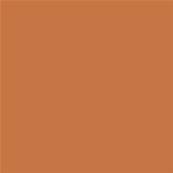 16-1348 TCX Tomato Cream