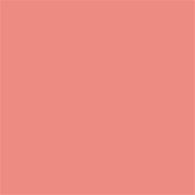 16-1529 TCX Burnt Coral