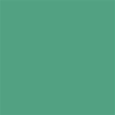 16-5924 TCX Winter Green