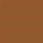 17-1052 TCX Roasted Pecan