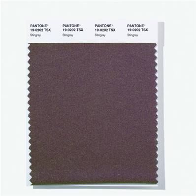 19-0202 TSX Stingray - Polyester Swatch Card