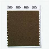 19-0805 TSX Brown Granite - Polyester Swatch Card