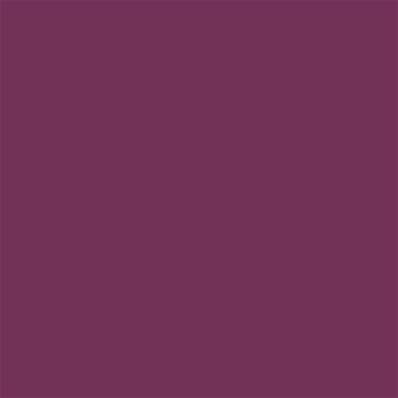19-2428 TCX Magenta Purple