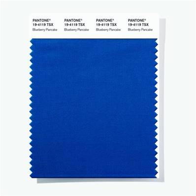 19-4119 TSX Blueberry Pancake - Polyester Swatch Card