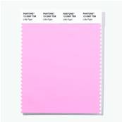 12-2007 TSX Little Piglet - Polyester Swatch Card