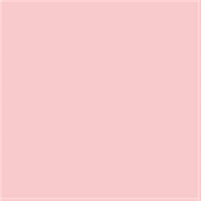 13-1520 TCX Rose Quartz