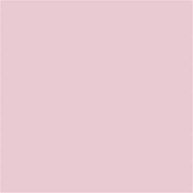 13-1904 TCX Chalk Pink