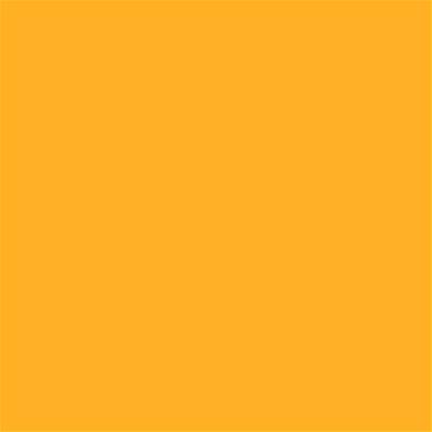 14-0955 TCX Citrus