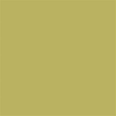 15-0636 TCX Golden Green