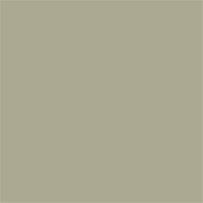 15-6410 TCX Moss Gray