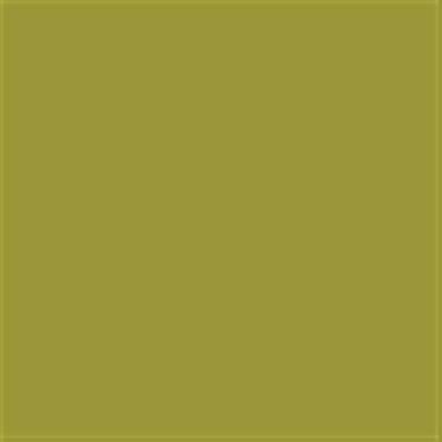 16-0543 TCX Golden Lime