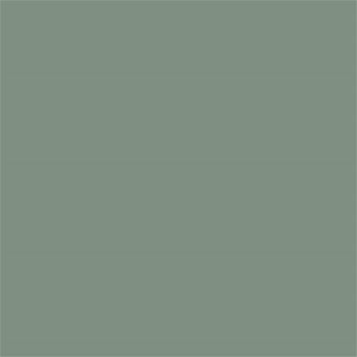 16-5807 TCX Lily Pad