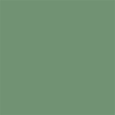 16-6116 TCX Shale Green