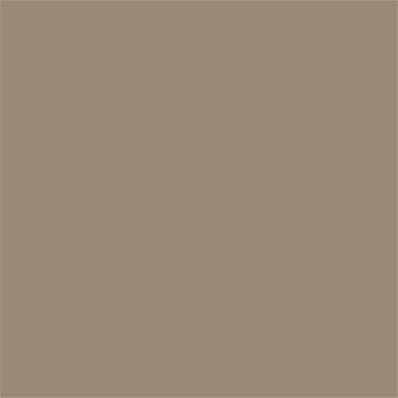 17-1312 TCX Silver Mink