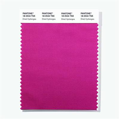 18-2534 TSX Dried Hydrangea - Polyester Swatch Card