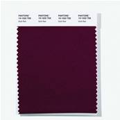 19-1520 TSX Goth Red - Polyester Swatch Card