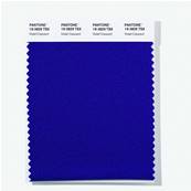 19-3829 TSX Violet Crescent - Polyester Swatch Card