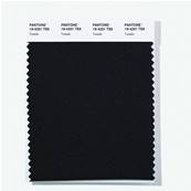 19-4201 TSX Tuxedo - Polyester Swatch Card