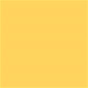 13-0851 TCX Minion Yellow™