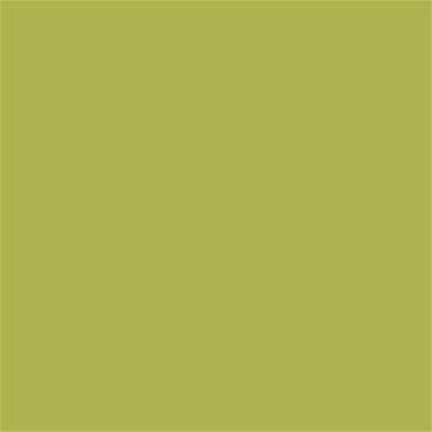 15-0538 TCX Green Oasis