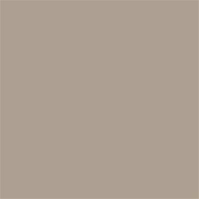 16-0906 TCX Simply Taupe