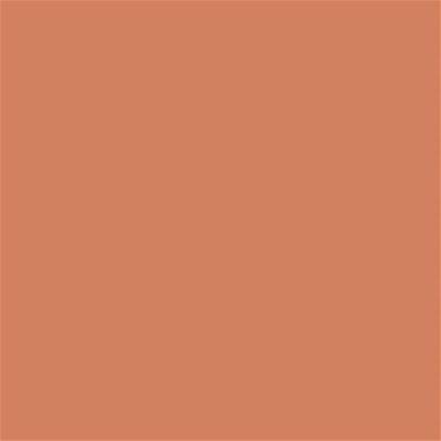 16-1340 TCX Brandied Melon