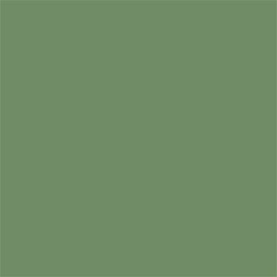 17-0220 TCX Watercress