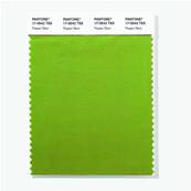 17-0542 TSX Pepper Stem - Polyester Swatch Card
