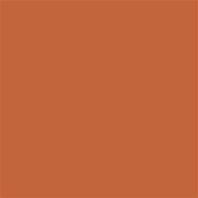 17-1353 TCX Apricot Orange