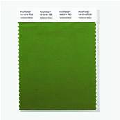 18-0416 TSX Terrarium Moss - Polyester Swatch Card