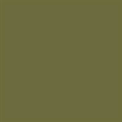 18-0428 TCX Peat Moss