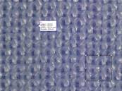 ISO 105 F04 Polyester, largeur 102cm - (paquet de 1m)