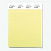 11-0518 TSX Béchamel - Polyester Swatch Card