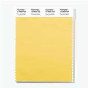 12-0830 TSX Pancake Batter - Polyester Swatch Card