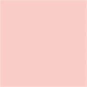 13-1511 TCX Pink Salt