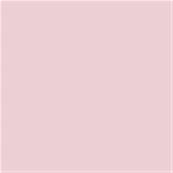 13-2808 TCX Ballet Slipper