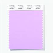 13-3512 TSX Taffy Batter - Polyester Swatch Card