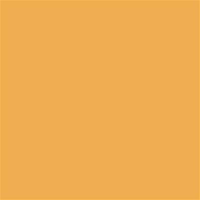 14-1045 TCX Amber