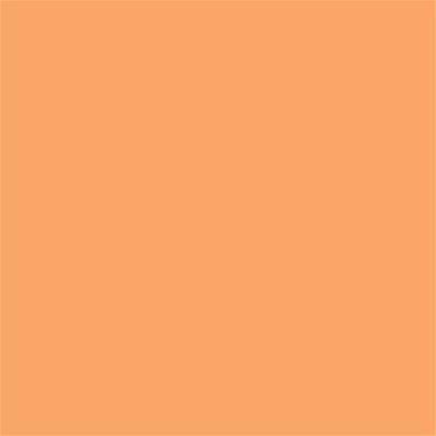 14-1139 TCX Pumpkin