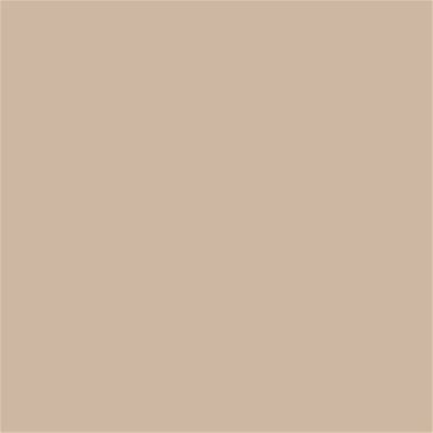 14-1209 TCX Smoke Gray